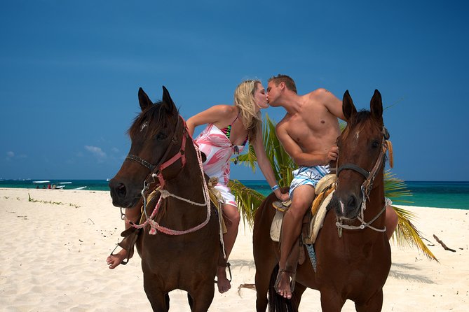 Cozumel Beach Horseback Riding Tour - Meeting and Pickup