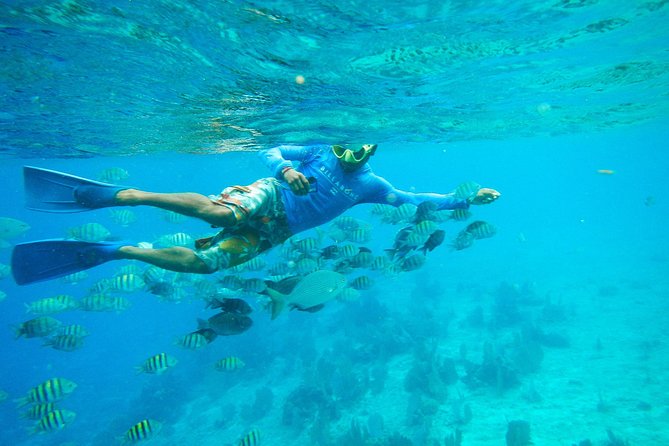 Cozumel & Snorkel Day Trip From Cancun - Flexible Cancellation & Weather Policy