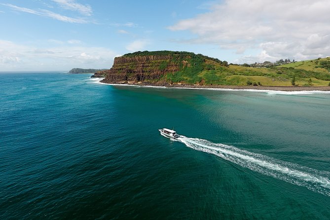 Cruise With Dolphins in Byron Bay - Scenic Route to Ballina Wharf