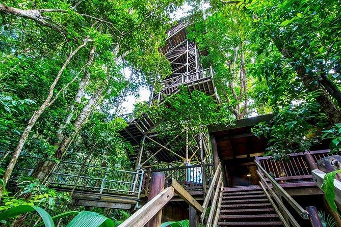 Daintree Discovery Centre Family Pass Ticket - Schedule and Timings