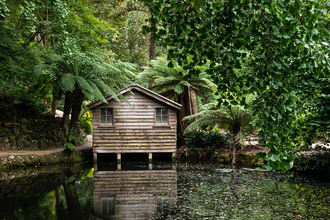 Dandenong Ranges Private Day Tour - Meet Your Local Guide