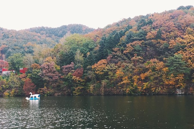 Day Tour to Gangchon Rail Bike Nami Island and Petite France - Important Safety Guidelines