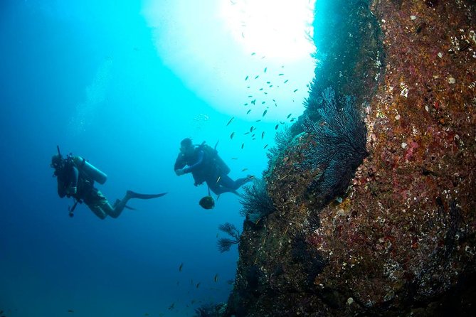 Discover Scuba Diving for Beginners With MANTA in Cabo San Lucas - Logistics and Cancellation Policy