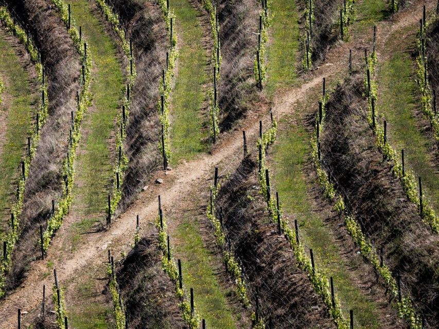 Douro Valley: 1 Day Landscape Photo Tour - Booking Information