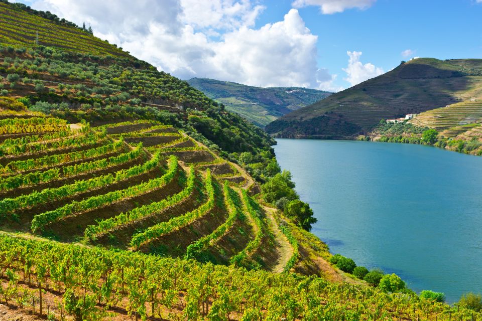 Douro Valley Delights: Wine Tasting and Scenic Vistas - Culinary Delights