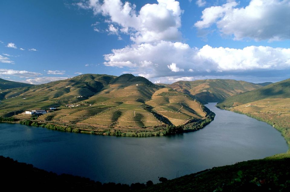 Douro Valley: Full-Day Private Wine Tour With Lunch - Inclusions