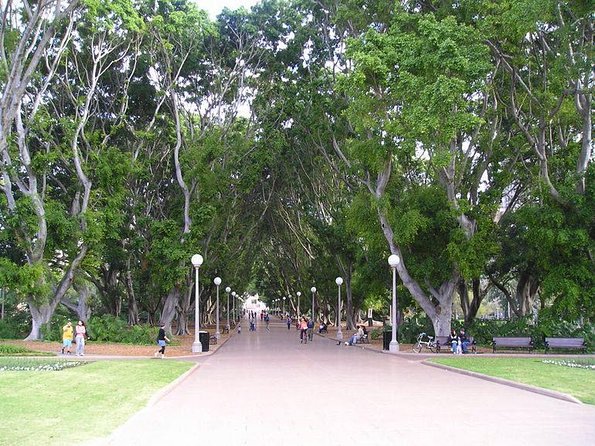 Drag Queen Walking Tour Through Sydneys LGBT District - Explore Iconic Bars and Shops