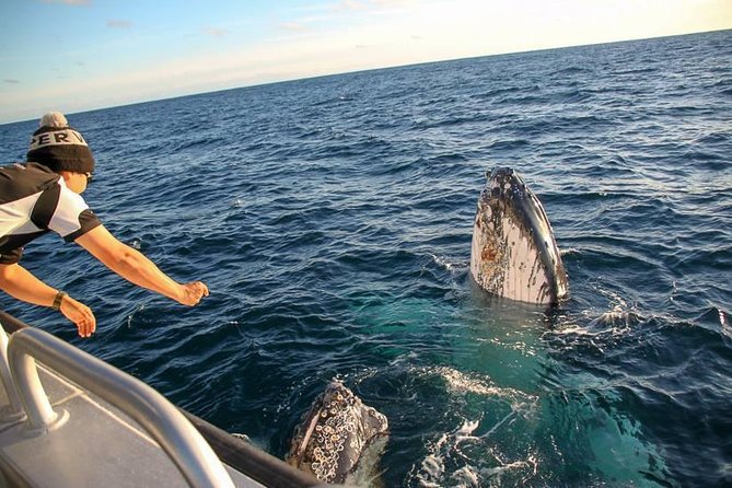 Dunsborough Whale Watching Eco Tour - Tour Schedule and Duration