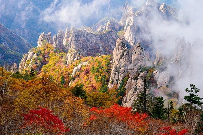 Essential Autumn Foliage of Korea 3 Days With Sorak and Odaesan Mountain - Accommodation and Meal Plans