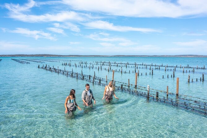 Experience Coffin Bay Oyster Farm and Bay Tour - What to Expect on Tour