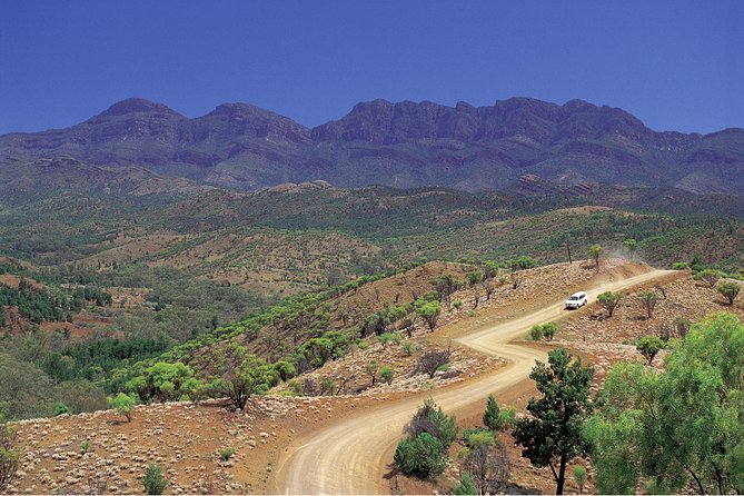 Flinders Ranges 3-Day Small Group 4WD Eco Tour From Adelaide - Comfortable 4WD Travel and Accommodation