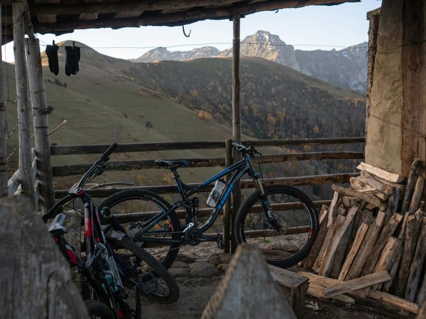 Forest Of Dean: Mountain Bike Tour - Participants & Date