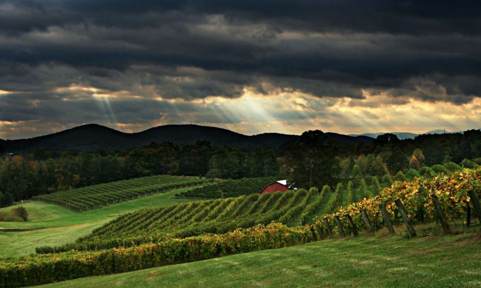 From Atlanta: North Georgia Wine Country Tour - Vineyards and Wine Tastings