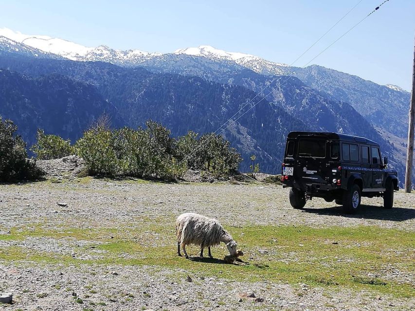 From Chania: White Mountains Land Rover Safari - Tour Highlights