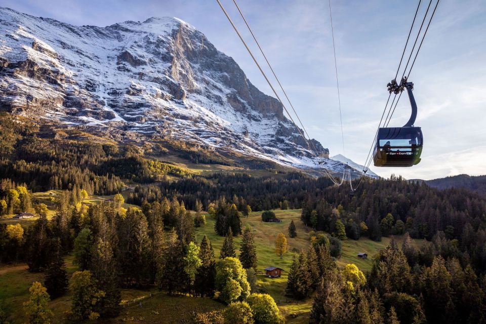 From Grindelwald: Jungfraujoch Round-Trip Railway Ticket - Customer Reviews