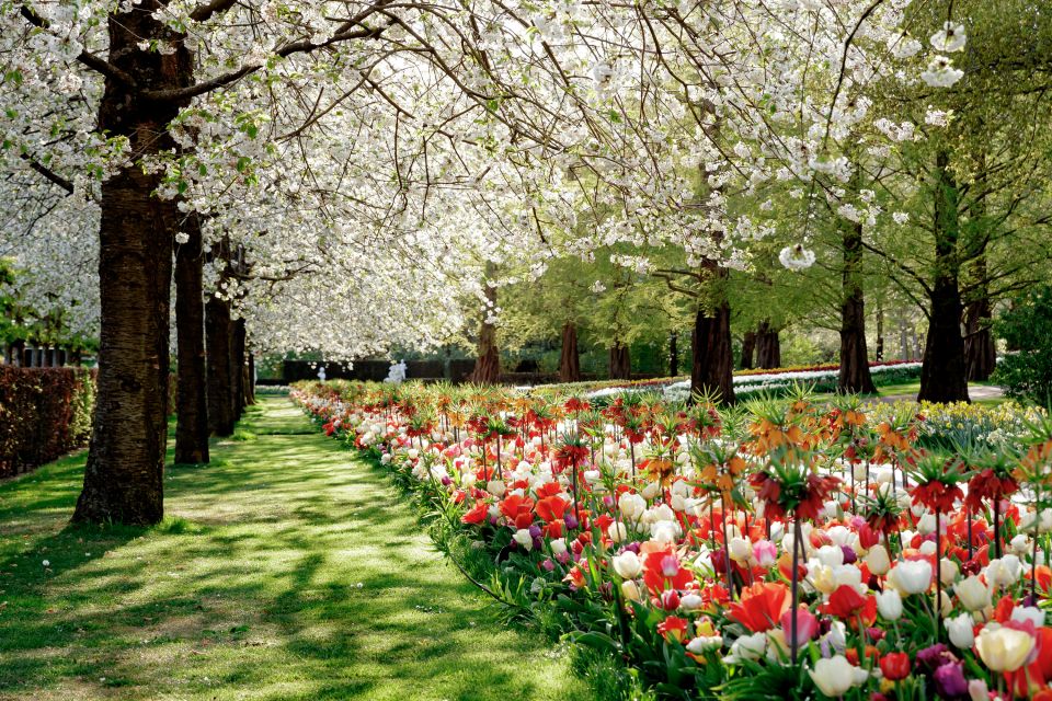 From Leiden Central: Keukenhof Ticket & Public Bus Transfer - Booking Information