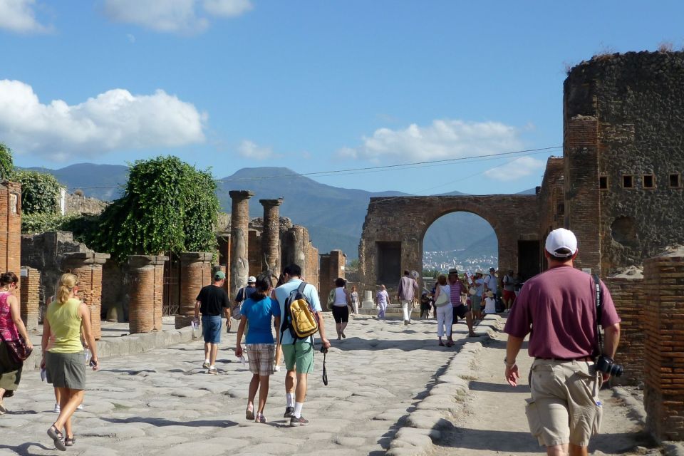 From Naples: Private Guided Tour of Pompeii - Inclusions