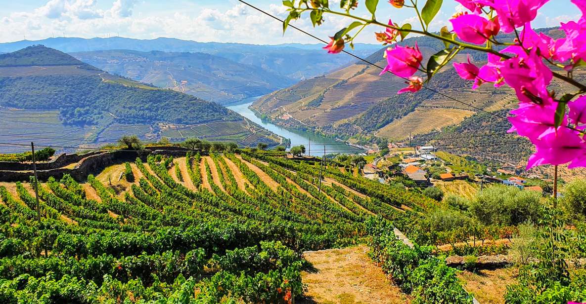 From Porto: Douro Valley Small Group Food and Wine Tour - Tour Highlights