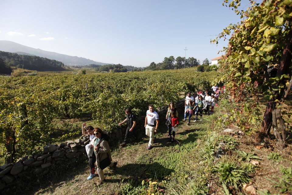 From Porto: Monção Wineries Tour With Wine Tastings - Activity Description