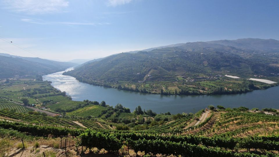 From Porto Private Wine Tour With 2 Tastings, Boat and Lunch - Itinerary Highlights