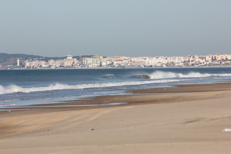 From Seville: Doñana National Park Full-Day Private Tour - Highlights