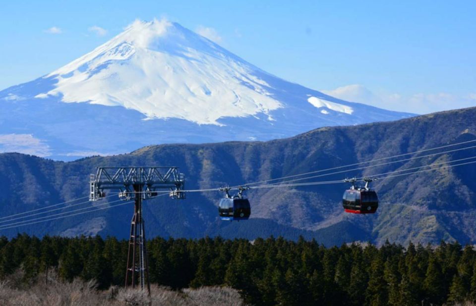 From Tokyo: 10-hour Hakone Private Custom Tour - Inclusions