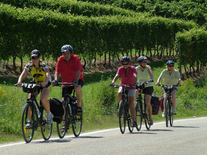 From Turin: 8-Day Cycling Tour in Piedmont - Detailed Itinerary