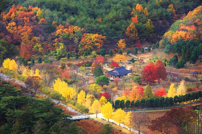 Full-Day Autumn Tour to Unmunsa Bhikkhuni Temple - Itinerary Details