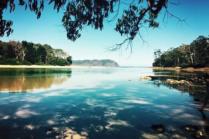 Full-Day Guided Bruny Island Tour From Hobart - Exploring the Islands Wonders