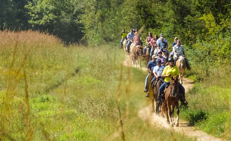 Gettysburg: Licensed Guided Battlefield Horseback Tour - Important Information