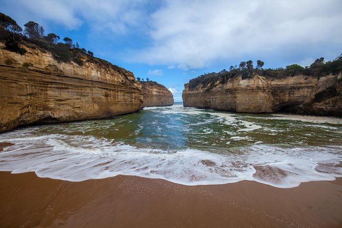 Great Ocean Road and Wildlife Tour for Backpackers Aged 18-35 - Scenic Views and Photo Ops