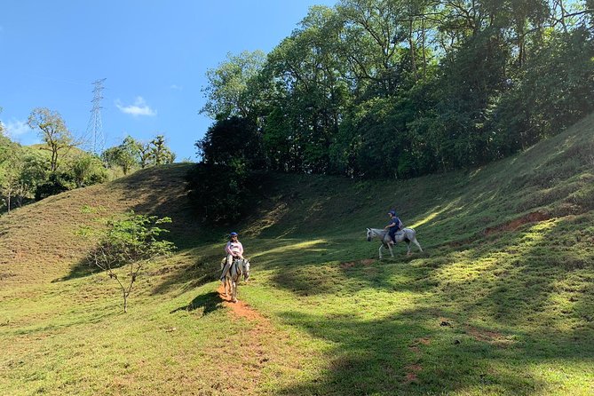 Guided Horseback Riding Tour in Manuel Antonio  - Quepos - Reviews and Recommendations