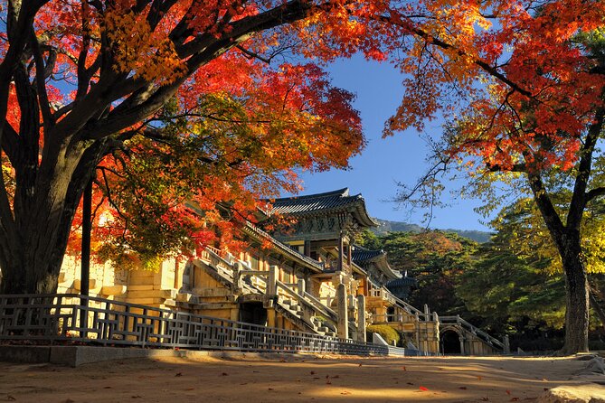 Gyeongju UNESCO Sites Private Tour With Licensed Tour Guide - Cancellation and Refund Policy