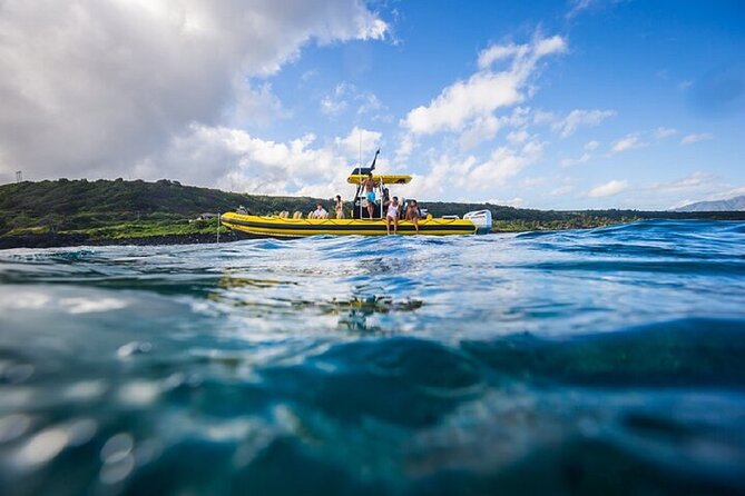 Haleiwa Small-Group Shark Dive Tour  - Oahu - Logistics Details