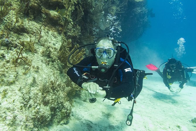 Half-Day Scuba Diving in Playa Del Carmen for Small-Group - Participant Information