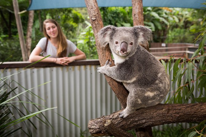 Hartleys Crocodile Adventures Day Trip From Cairns - Cancellation and Refund Policy