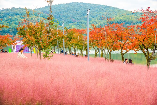 Historic and Natural Beauty- Gyeongju Autumn Foliage Day Tour - Experience Gyeongjus Natural Wonders