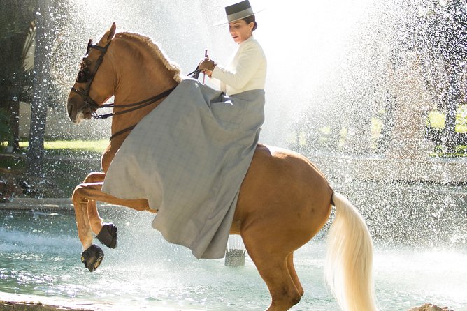 Horse and Flamenco Show in Malaga - Inclusions and Amenities