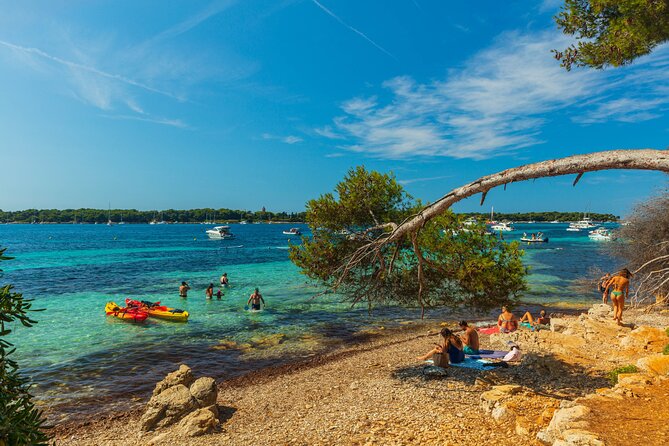 Ile Sainte-Marguerite Ferry & Corniche Dor Cruise Combo From Cannes - Booking and Ticket Details