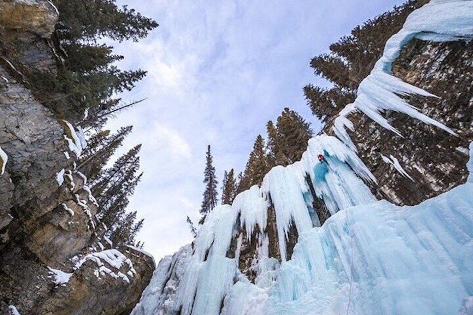 In-Depth Banff Area & Canyon Day Tour From Calgary or Banff - Tour Highlights