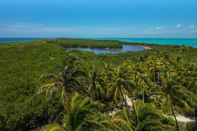 Isla Contoy and Isla Mujeres Tour With Snorkeling From Cancun - Customer Reviews and Ratings