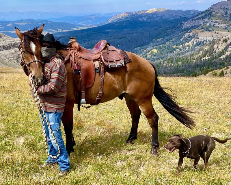 Jackson Hole: Dinner Cookout & Bridger-Teton Horseback Ride - Booking & Cancellation Policy