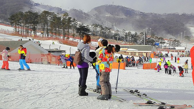 Jisan Ski Resort Serving Breakfast From Seoul (No Shopping) - Ski Lessons and Scenic Views