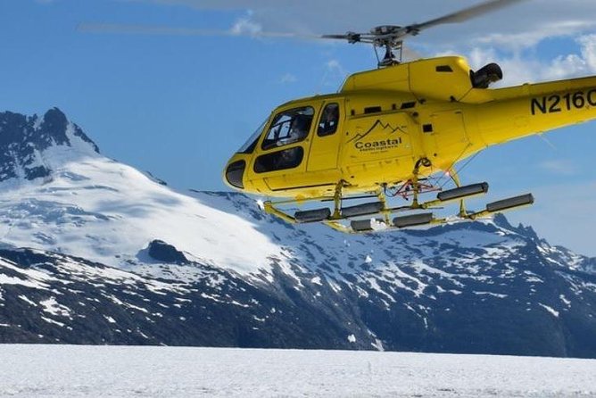 Juneau Shore Excursion: Helicopter Tour and Guided Icefield Walk - Experience Highlights