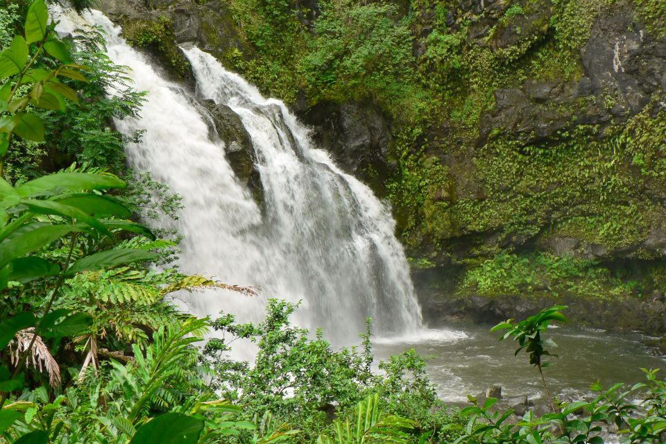 Kahului: Guided Rainforest and Waterfall Walk - Inclusions and Restrictions