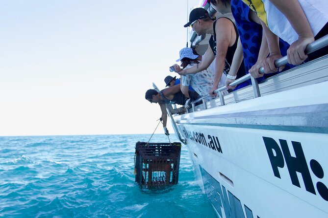 Kalbarri Rock Lobster Pot Pull Tour in Kalbarri - Expert Guidance and Logistics