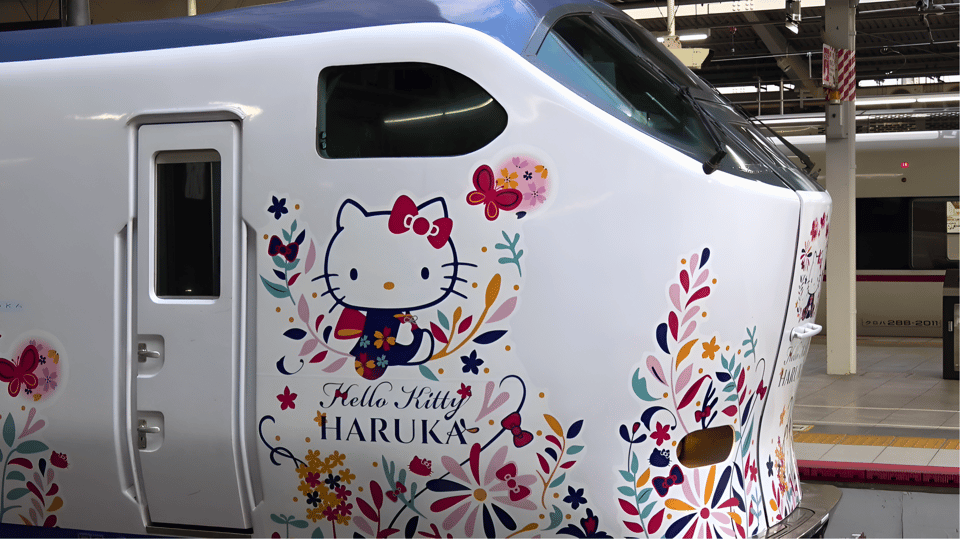 Kansai-Airport Express HARUKA One-way Ticket - Full Description