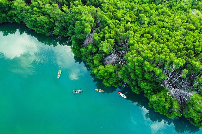 Kayak Tour at Sunset in Cancun - Traveler Experience