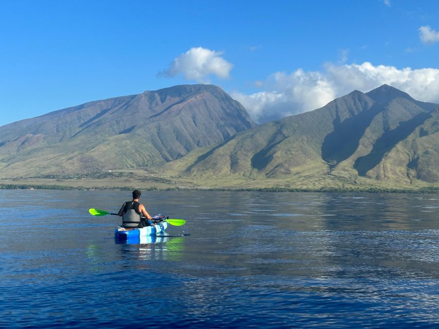 Kayak, Whale Watch And Snorkel At Turtle Town - Important Information