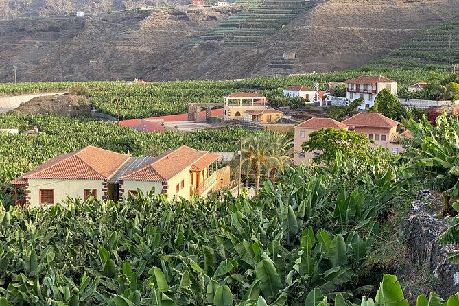 La Palma From Tenerife (Volcano Tour) - Visitor Experiences